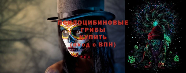 дмт Богородицк