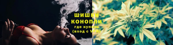 героин Богданович