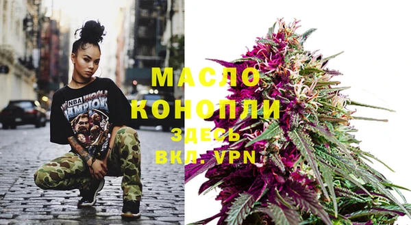 дмт Богородицк